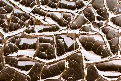 Abstract brown background Stock Photos