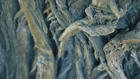Abstract brown bark closeup Video stock 94313042