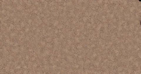 Abstract brown beige background, noise motion effect for screensaver and Stock Footage 223584228
