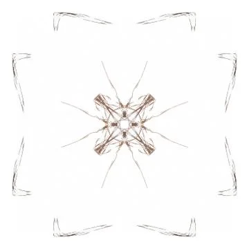 Abstract brown floral pattern isolated on white background. 库存插图