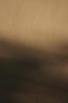 Abstract Brown Gradient Background with Soft Bokeh and Warm Texture 库存照片