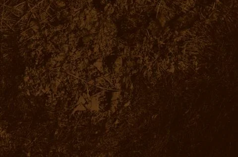 Abstract brown grunge background for design 스톡 일러스트