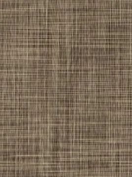 Abstract brown texture with spots. Pattern of dark brown and light surface Illustrazione stock