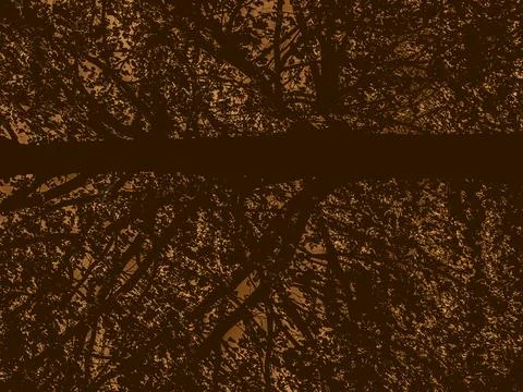 Abstract brown tree texture with organic branch pattern Stock Photos