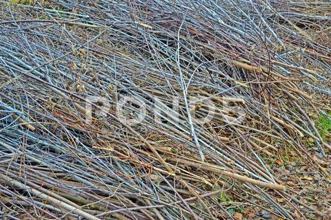 Abstract brushwood heap, seasonal details Stock Photos