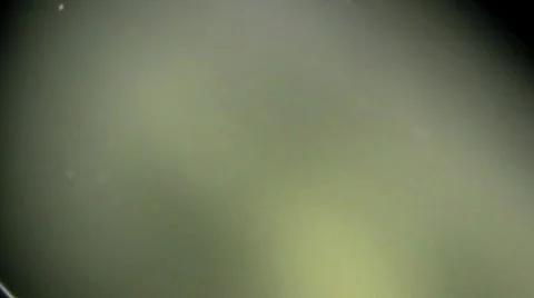 Abstract bubble background 1 Stock Footage 8640298