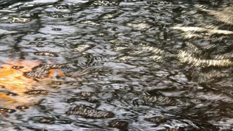 Abstract bubble background fast movement Stock Footage 157549645