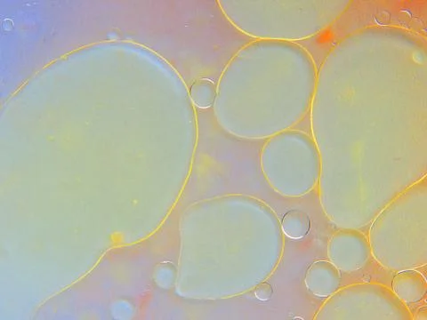 Abstract bubble multicolored background. Stock Photos