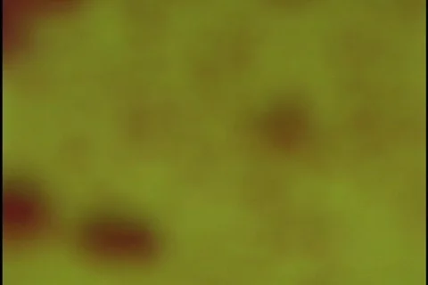 Abstract Bubbles 3 Stock Footage 296730