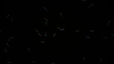 Abstract Bubbles Floating in Dark Space with Subtle Light Effects. Stock Footage 333909982