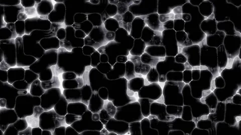 Abstract Bubbles Forming and Dissipating in Dark Cinematic Flow with Subtle.. Stock Footage 341652191