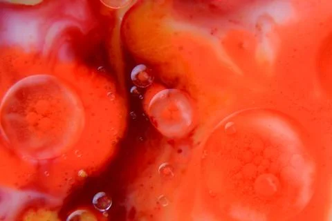 Abstract Bubbles Macro Stock Photos