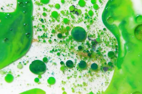 Abstract Bubbles Macro Stock Photos