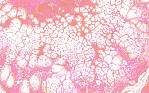 Abstract bubbles texture with mesh effect in modern fluid art. Stock Illustration