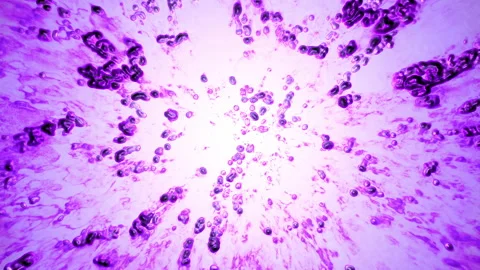 Abstract bubbles violet paint seethes and moves. Stock Footage 134080324