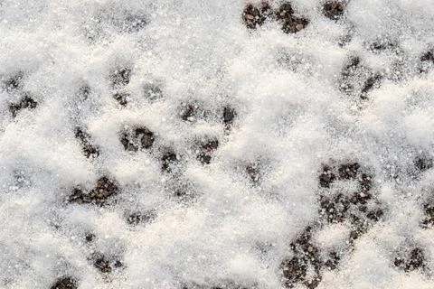 Abstract bumpy texture of a winter snowdrift Stock Photos