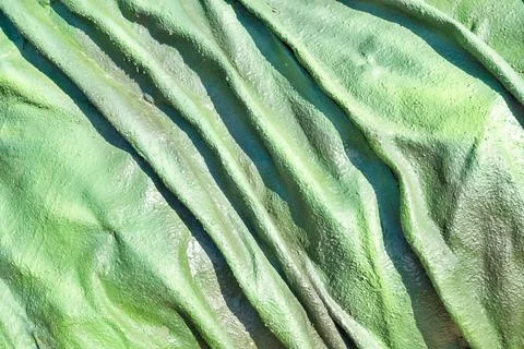 The abstract bumpy textured background of green color Stock Photos