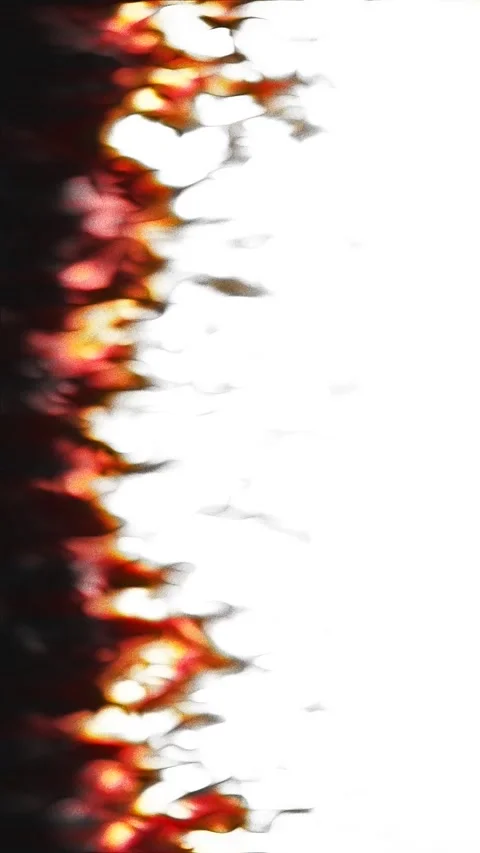 Abstract burning fire flames edge on white background Stock Footage 346754564