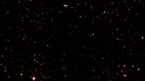 Abstract burning orange  particles explosion  on black background. Stock Footage 218365581