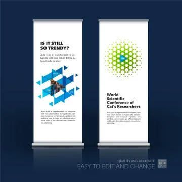 Abstract business vector set of modern roll Up Banner stand desi Illustration