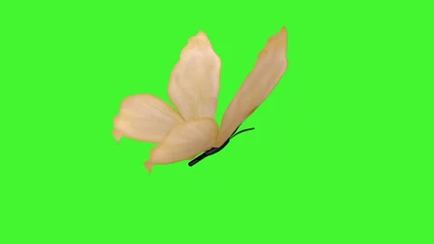 Abstract butterfly flies, flaps its wings on a green screen. Stock Footage 262760476
