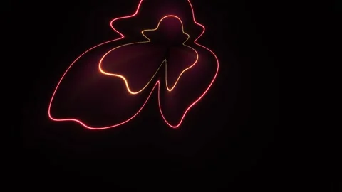 Abstract Butterfly Shape Formed by Glowing Neon Lines on Black Background. Stock Footage 333910052