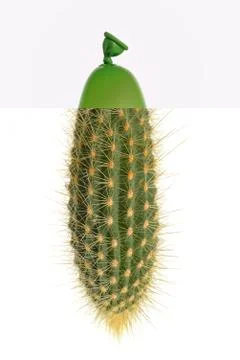 Abstract cactus small balloons Free Stock Photos