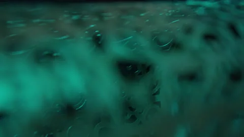 Abstract cage closeup Stock Footage 141681798