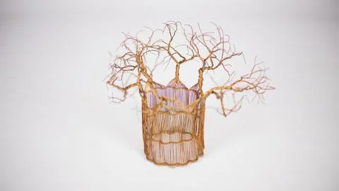 Abstract cage with sharp leafless trees on top of it woven from gold thread on a Illustrazione stock