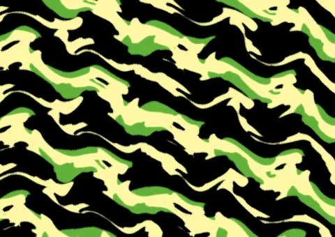 Abstract camouflage with brush pattern Stock Illustration
