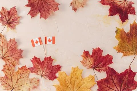 Abstract Canada background with small flags and maple leaves Stock Photos