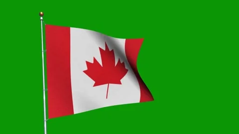Abstract Canada flags flying animation Stock Footage 260771481