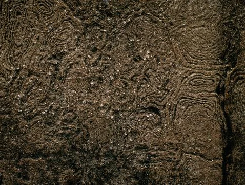 Abstract Carved Stone Texture with Circular Wood Grain Pattern, Weathered N.. Stock Photos