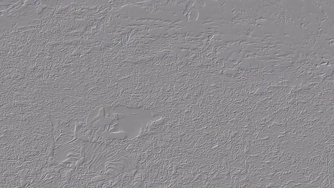 Abstract Cat Stock Footage 83512904