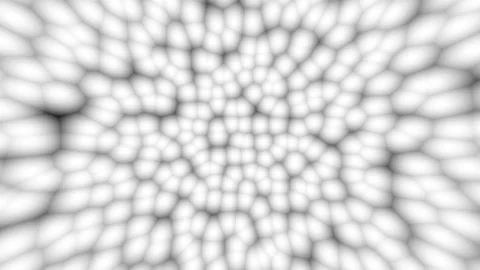 Abstract Cell Growth Pulsating with Soft Light in Cinematic Macro Focus Stock Footage 341375361