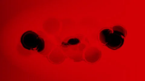 Abstract Cell Movement Stock Footage 308076589
