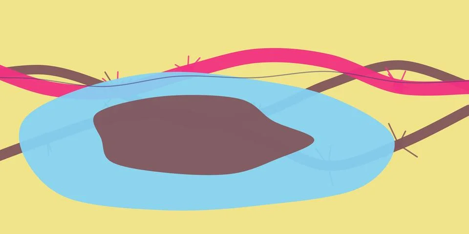Abstract cell structure with fluid layers illustration Stock Illustration