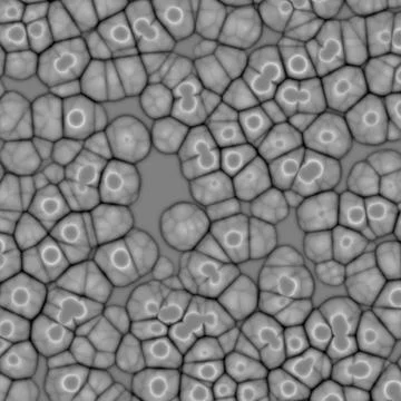 Abstract cell of virus or pathogenic bacterium illustration Stock Illustration