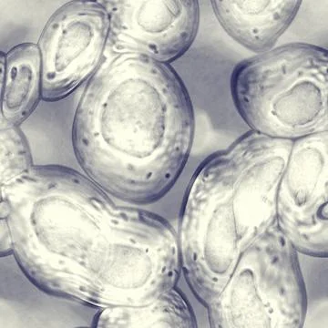 Abstract cell of virus or pathogenic bacterium illustration Stock-Illustration