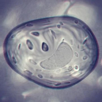 Abstract cell of virus or pathogenic bacterium illustration Stock Illustration