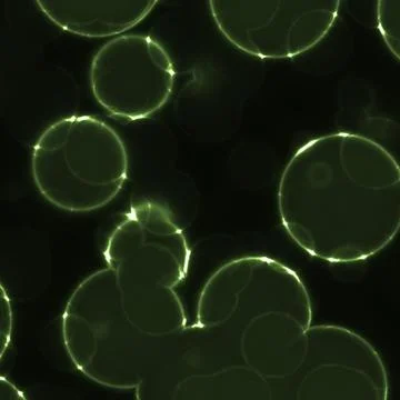 Abstract cell of virus or pathogenic bacterium illustration Stock Illustration