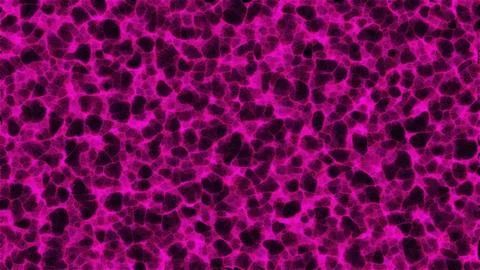 Abstract cells background Stock Illustration