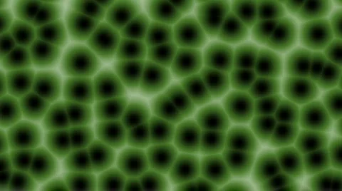 Abstract cells Stock Footage 778735