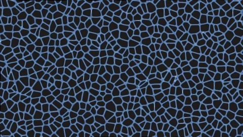 Abstract cells motion background . Cells animation on black background Stock Footage 331229615