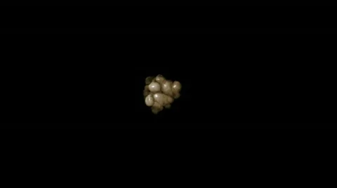 Abstract cells virus spawn virus egg mixing blending alveolus. Video stock 792682