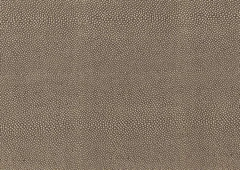 Abstract cellular background full frame brown abstract cellular background... Foto stock