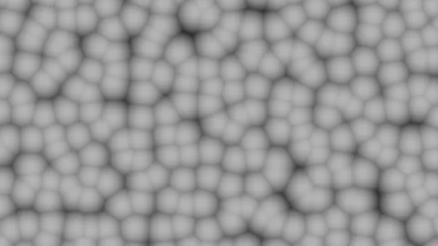 Abstract Cellular Structure Expanding Across Dark Background Cinematic Motion Stock Footage 341655950