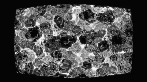 Abstract cellular structure patterns with subtle monochromatic light shifts.. Stock Footage 341652212