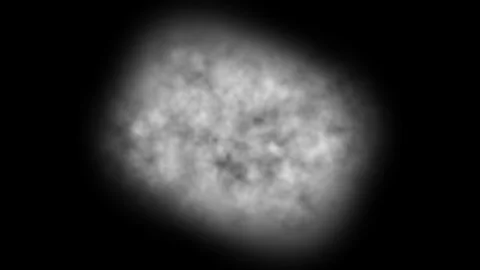 Abstract Cellular Structure Rotating With Soft Focus And Subtle Motion Duri.. Video stock 343481998