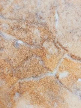 Abstract Ceramic Texture Background, Natural Earth Tone Surface with Organic Pat Фото
